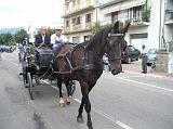 FestaUva (46)